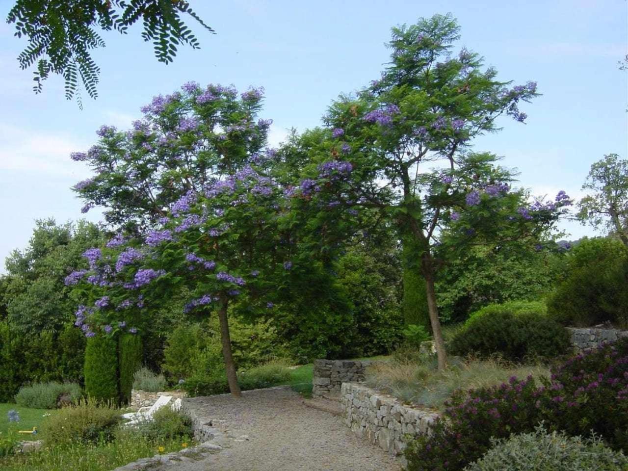 Vila Ca Landreu Ecoturisme Tiana Exteriér fotografie