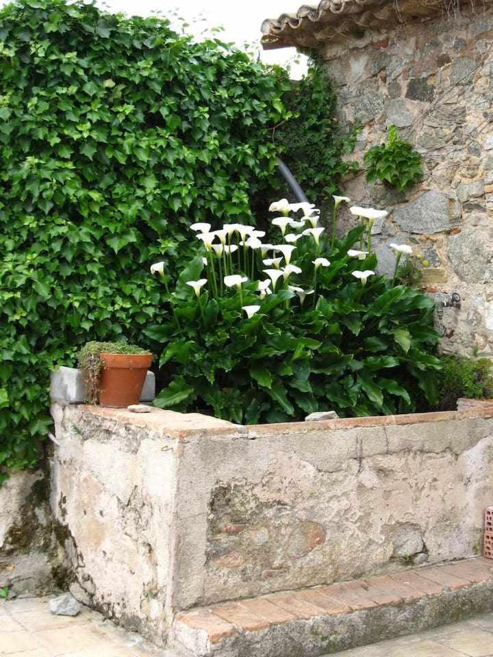 Vila Ca Landreu Ecoturisme Tiana Exteriér fotografie
