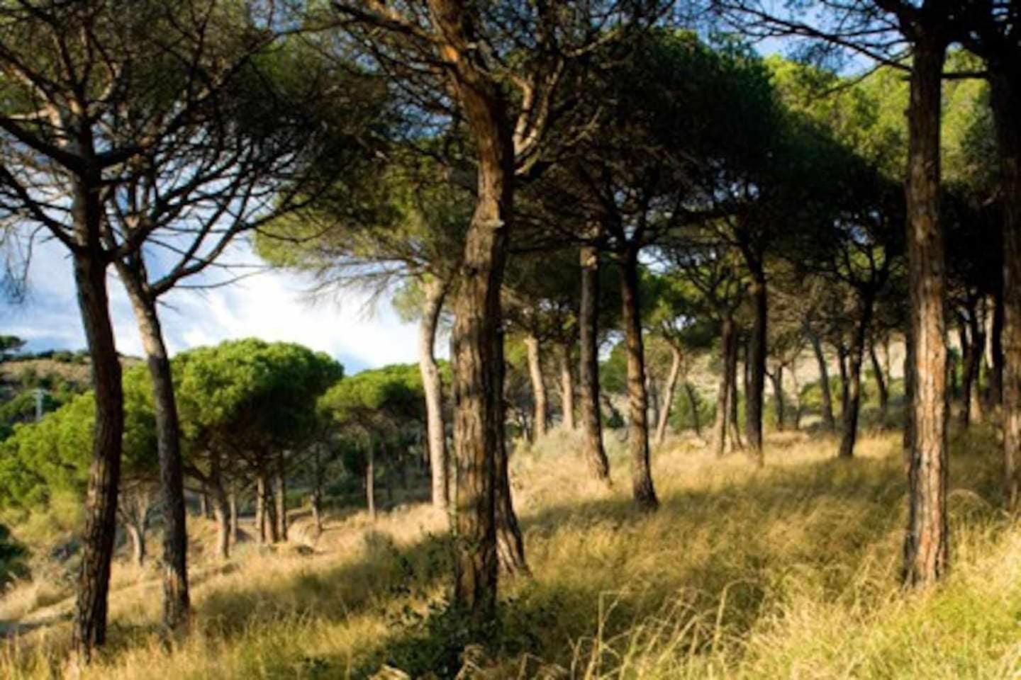 Vila Ca Landreu Ecoturisme Tiana Exteriér fotografie